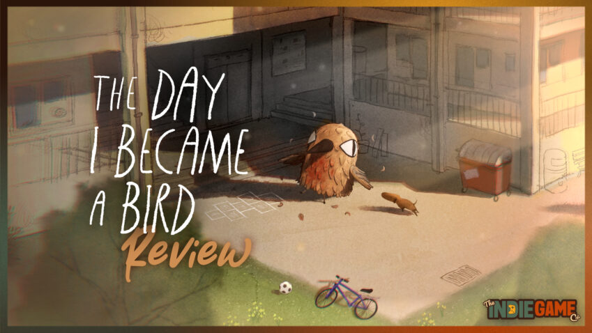 The Day I Became a Bird Review: A Short, Tender Flight of Fancy