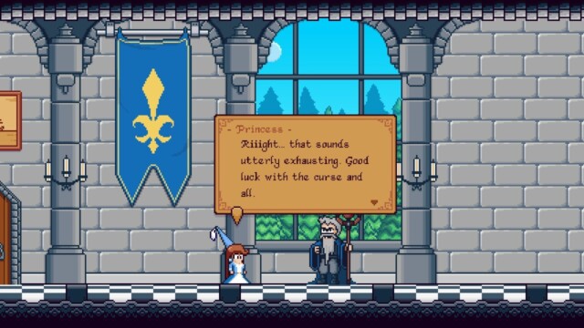 Did I mention I love the Princess?